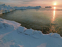 Ученый объяснил мобильность кочевников в Арктике