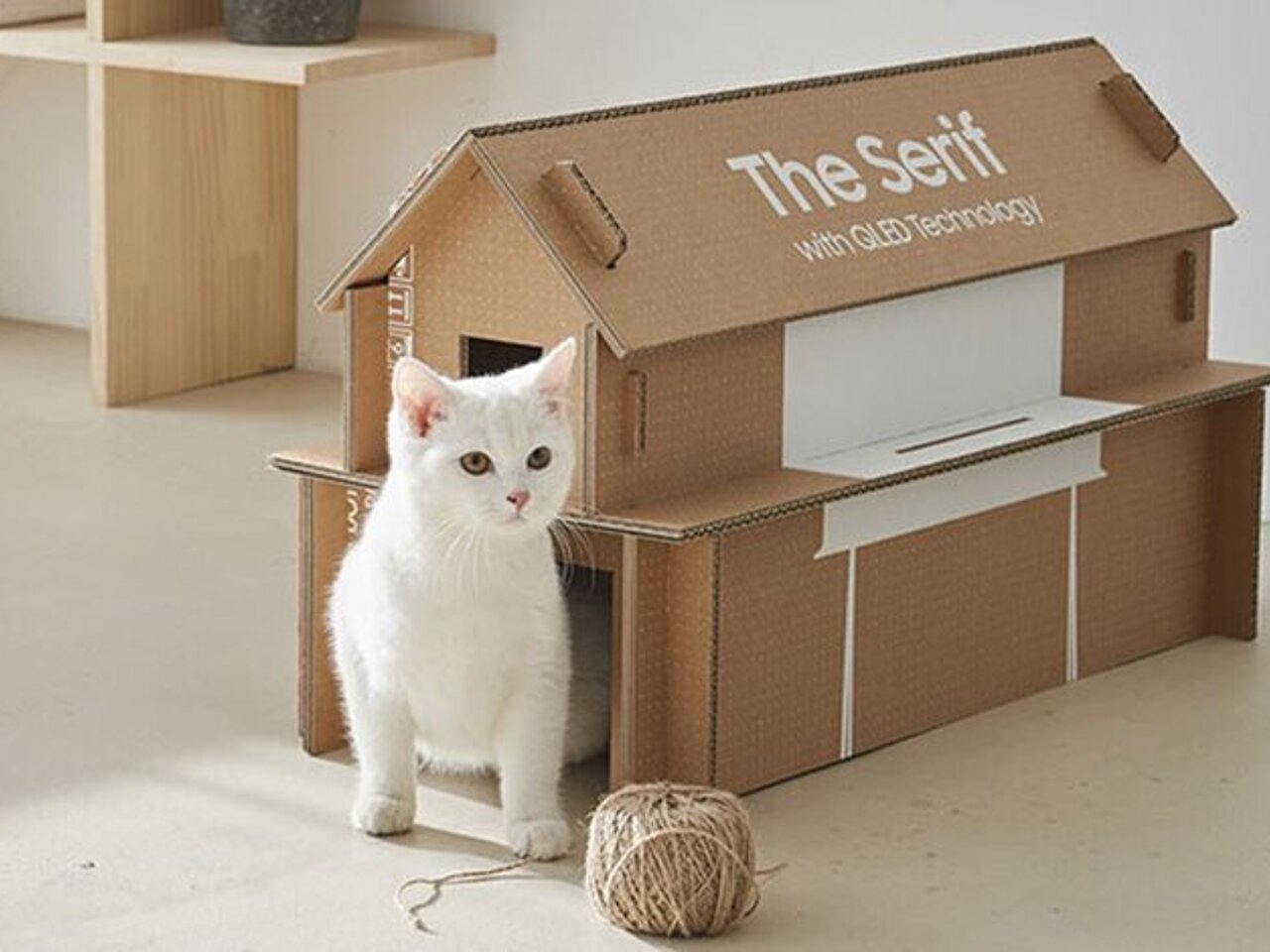 Как устроена коробка от телевизора Samsung, из которой можно сделать  кошачий домик - Рамблер/новости