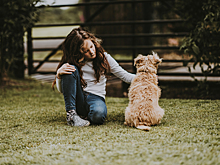 Как ребенку подружиться с собакой