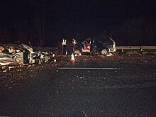 В Сызранском районе на "встречке" столкнулись две иномарки