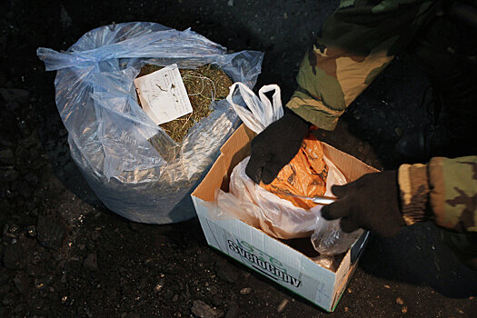 Правоохранители задержали за торговлю наркотиками депутата Миргородского городского совета
