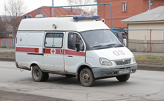 Не ходить по больницам, а вызывать врача на дом посоветовали диабетикам Новосибирска