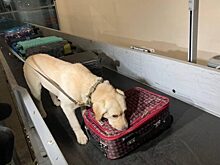 Международные рейсы таможня аэропорта Волгоград проверяет ничуть не хуже крупных хабов