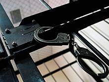 17 подельников авторитета Шишкана осудили на сроки от условного до пожизненного