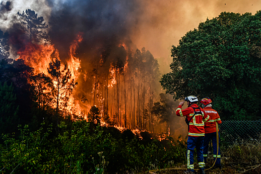 Аномальная жара накрыла Европу, Китай и США: Статьи экологии ➕1, 18.07.2022