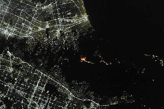 Последствия разрушительных пожаров в Лос-Анджелесе показали из космоса