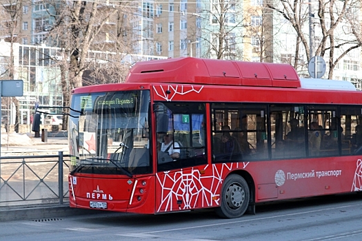 Убытки транспортной отрасли Перми перевалили за 2 миллиарда рублей