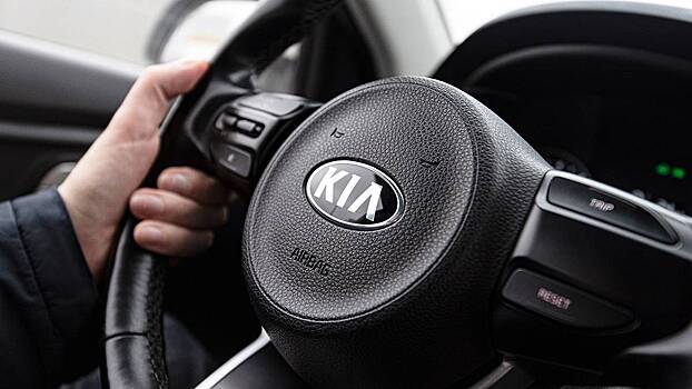 Эксперт объяснил, почему Hyundai и Kia стали самыми угоняемыми марками авто