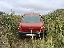 В Правдинском районе легковушка на высокой скорости вылетела в кювет, водителя госпитализировали