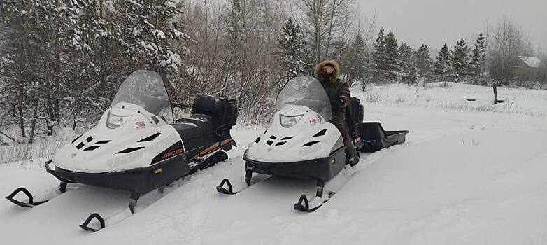 Сотрудники «Бузулукского бора» охраняют елочки