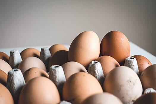 Влияние иностранных яиц на российский рынок оценили