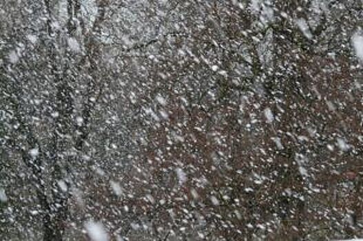 Сильный ветер со снегом пронесется по Иркутской области в выходные