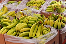 Индийские бананы могут заместить эквадорские в российских магазинах