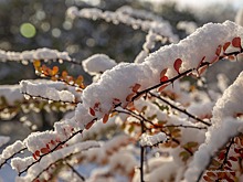 В Москве зафиксировали рекордное для 15 ноября количество осадков