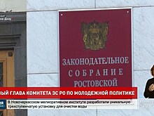 Ирина Жукова возглавит комитет по молодежной политике Заксобрания Дона