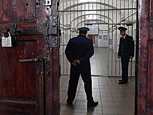 Москалькова направила запросы по поводу смерти Пшеничного