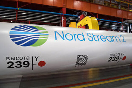 Немецкие политики раскритиковали действия посла США в ФРГ