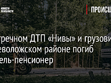 Во встречном ДТП «Нивы» и грузовика во Всеволожском районе погиб водитель-пенсионер