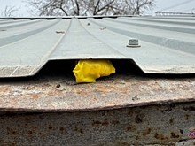 Полиция Волгограда задержала иностранца, подозреваемого в сбыте наркотиков