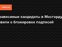Мосгоризбирком выдаст документы об итогах проверки подписей в ближайшие дни