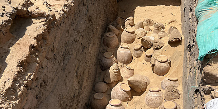 В гробнице египетской царицы нашли сотни кувшинов с вином 5000-летней давности
