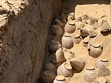 В гробнице египетской царицы нашли сотни кувшинов с вином 5000-летней давности