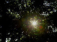 В Самарской области до 15 июля сохранится пекло