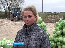 Фермеров области поддержат материально