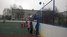 Новую хоккейную площадку открыли в Пушкинском районе