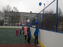Новую хоккейную площадку открыли в Пушкинском районе