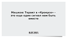 Машков: Теракт в «Крокусе» – еще один сигнал быть вместе