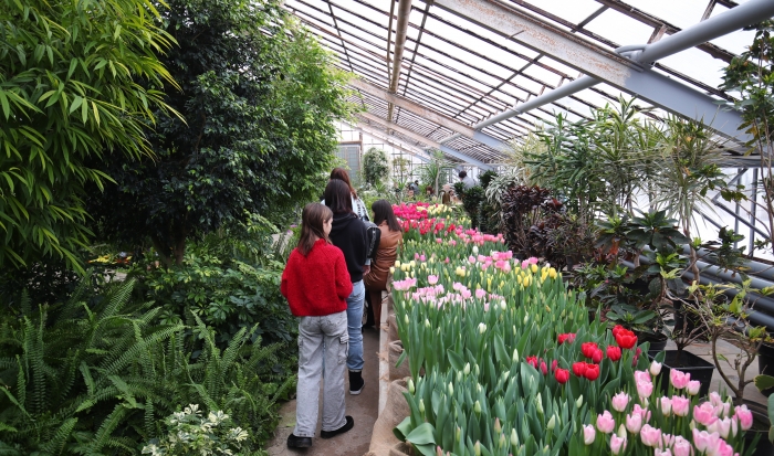 В Волгоградском ботаническом саду открылась выставка «Первоцветы»
