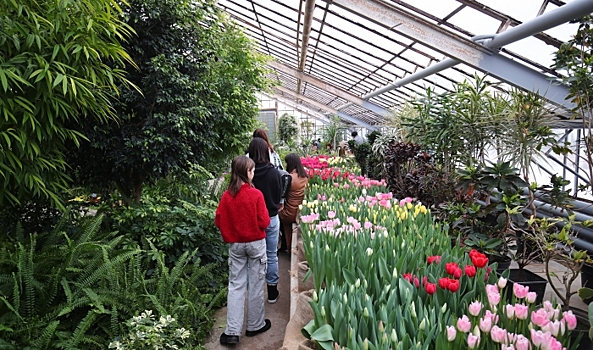 В Волгоградском ботаническом саду открылась выставка «Первоцветы»