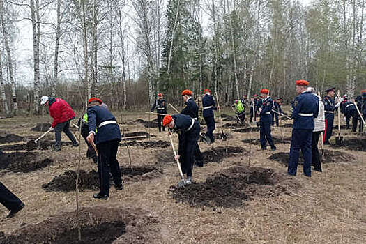 В Пензе высадили 2,5 миллионное дерево "Сада памяти"