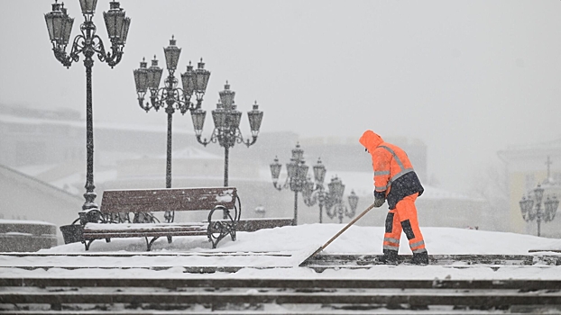 На Березовой аллее в Москве построят снегоплавный пункт