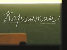 В Калужской области 49 классов закрыты на карантин 