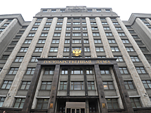 В Думе предложили сделать разные штрафы для малого и крупного бизнеса