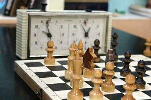 Три воспитанника студии «Маэстро» на Сумском» выступят на шахматном турнире «Альпийское лето!»