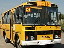 Омская область полностью обновила автопарк школьных автобусов