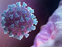 Коронавирус в Армавире 18 января: выявлено четверо новых пациентов