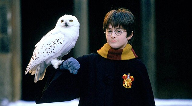Звезда «Гарри Поттера» уверен в продолжении серии в новом виде