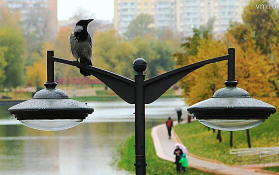 В Москве восстановят Калитниковский пруд