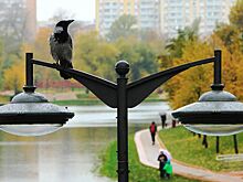 В Москве восстановят Калитниковский пруд