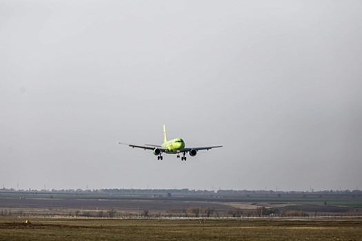 Летевший из Волгограда самолет приземлился в аэропорту Москвы