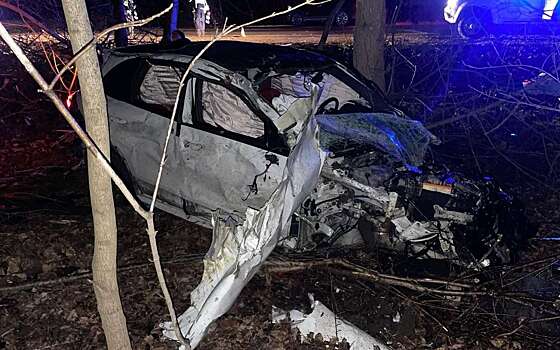 На Кубани Porsche Cayenne врезался в дерево