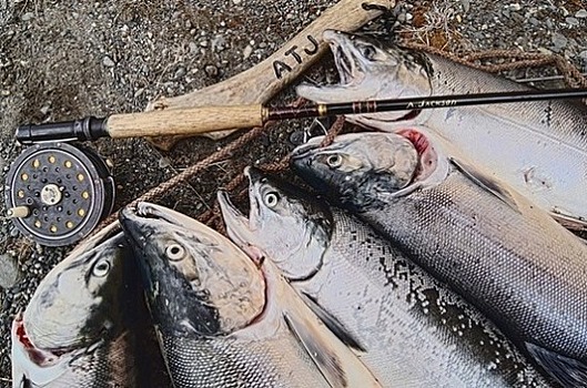 Минсельхоз России готовит льготы для рыбаков