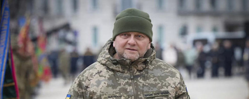 Американский журналист заявил, что главком ВСУ Залужный не сможет набрать нужное количество военных