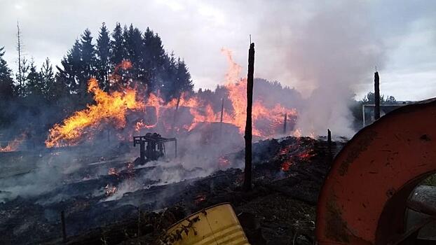 268 пожаров произошло в 2020 году в Вологде
