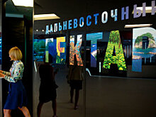 Юристы раскритиковали проект донского закона о садоводстве