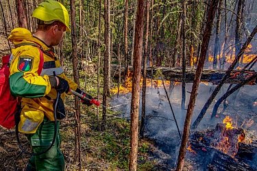 Хабаровский край в огне: лесные пожары угрожают региону
